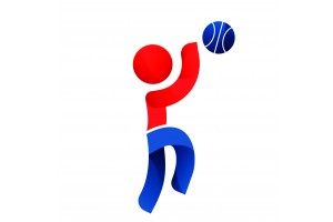 Basketball féminin