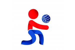 Volleyball masculin