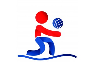 Volleyball de plage masculin